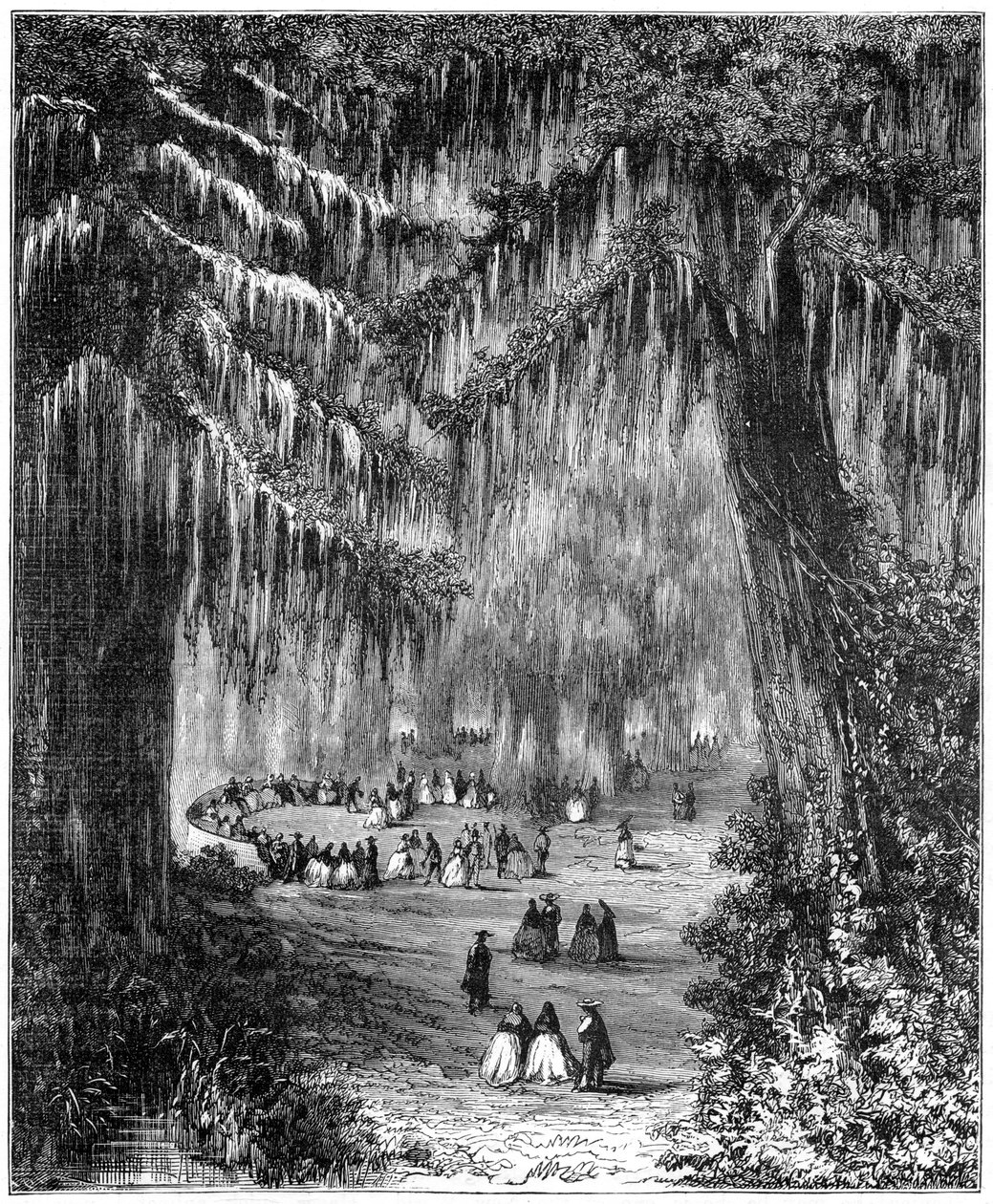 Gaj cyprysowy w Chapultepec, Meksyk, 1877 autorstwa Unbekannt