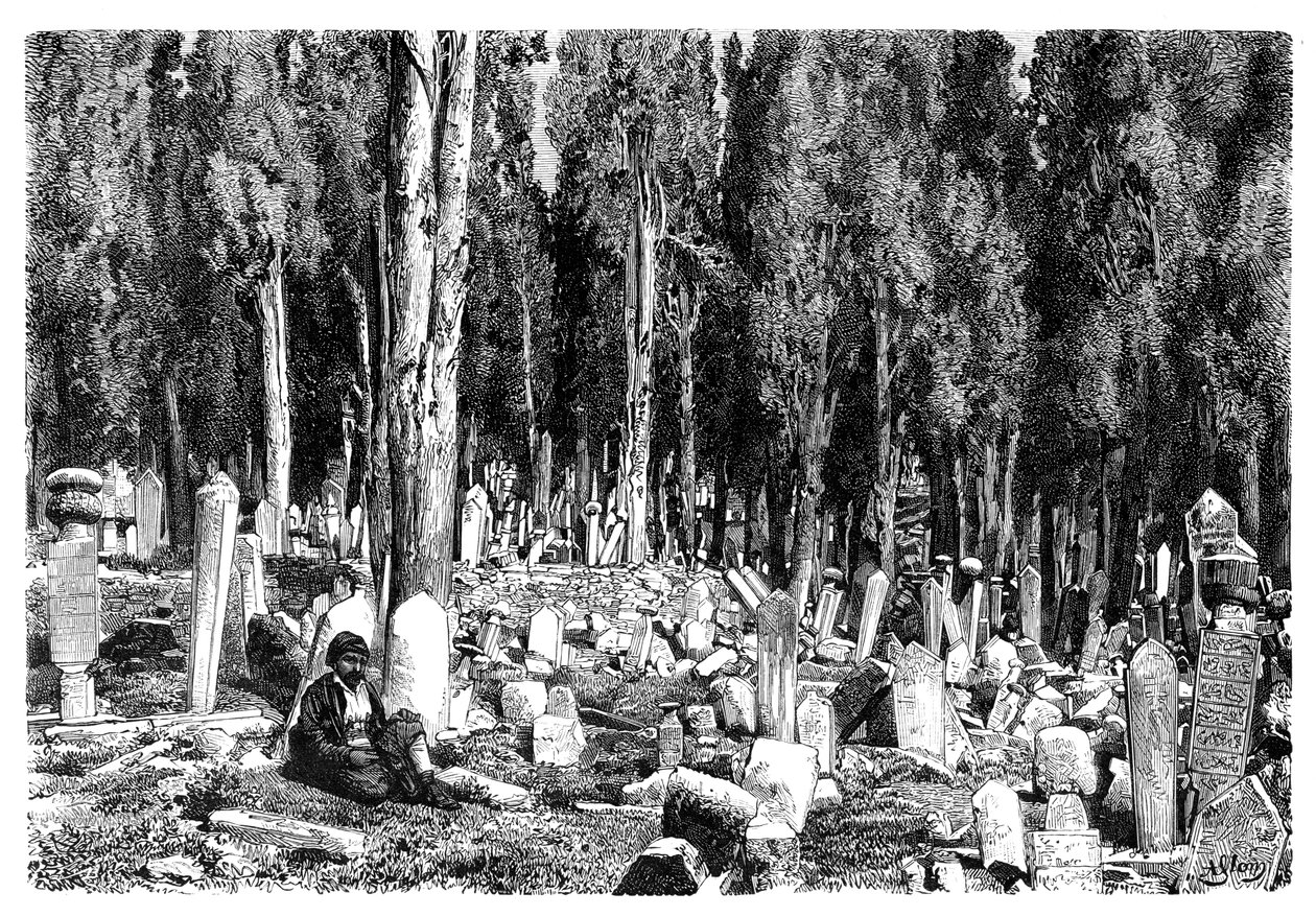 Cyprysy na cmentarzu Scutari, Turcja, 1895 autorstwa Unbekannt