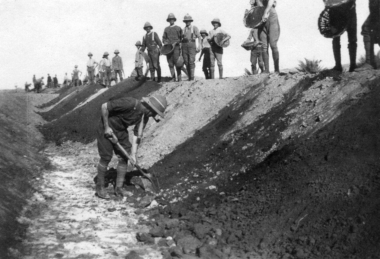 Kompania D, partia robocza 15 RWR, niedaleko Bagdadu, 1918 autorstwa Unbekannt