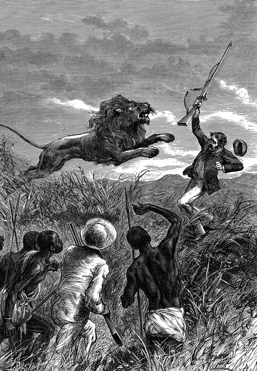 David Livingstone, szkocki misjonarz i afrykański odkrywca, atakowany przez lwa, ok. 1860 r. autorstwa Unbekannt