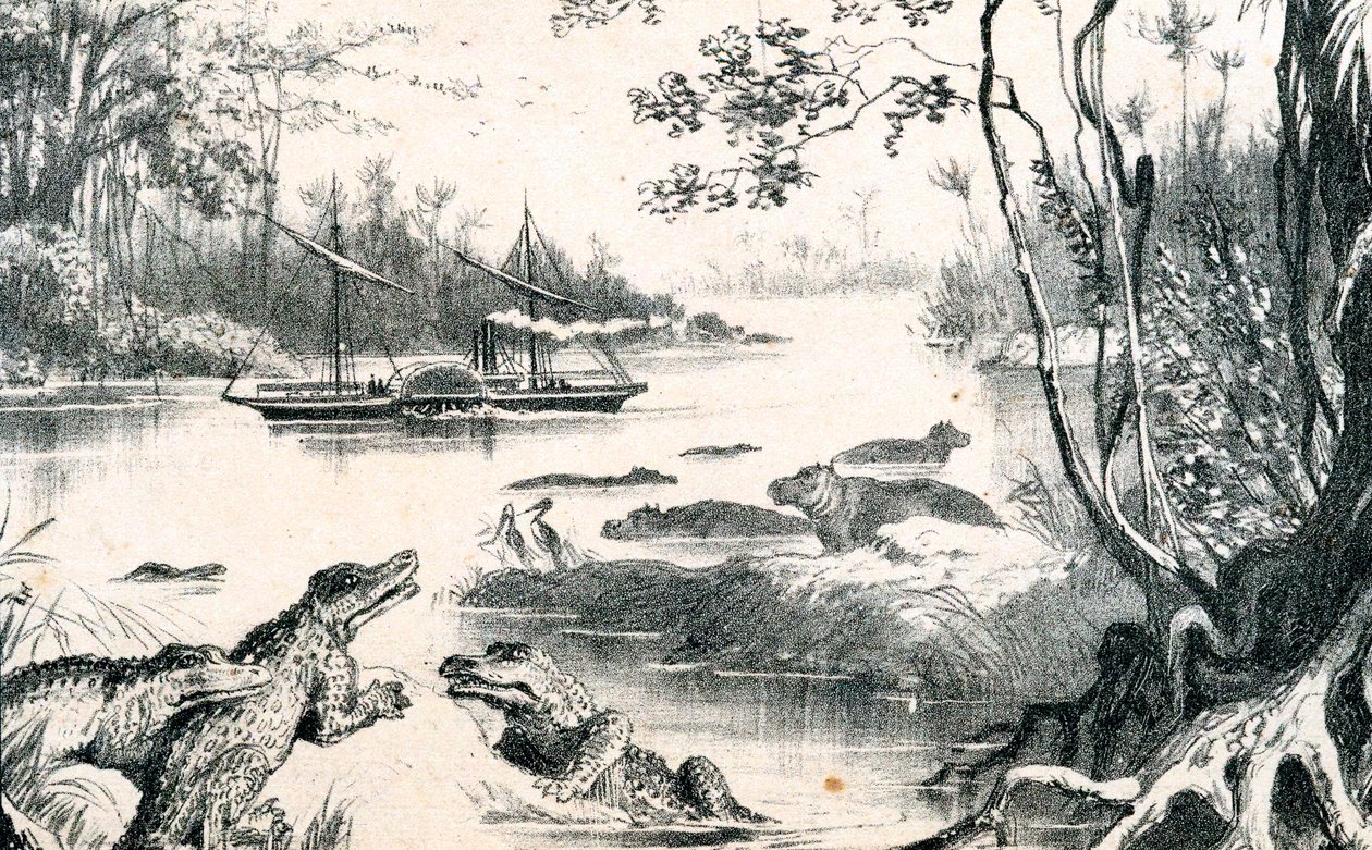 David Livingstone żeglujący po Zambezi, Afryka, 1852-1864 c1878 autorstwa Unbekannt