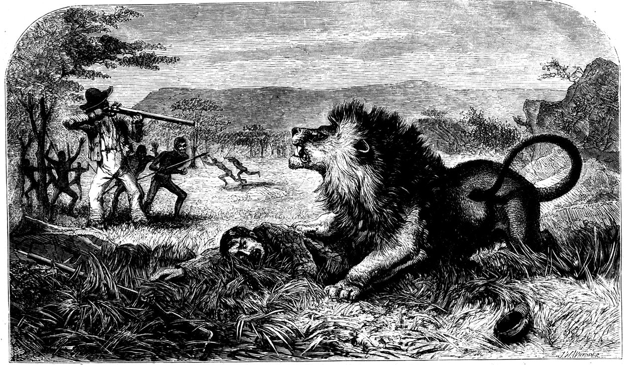 David Livingstone, uratowany przed lwem przez Mebalwe, rodzimego nauczyciela, 1857 autorstwa Unbekannt