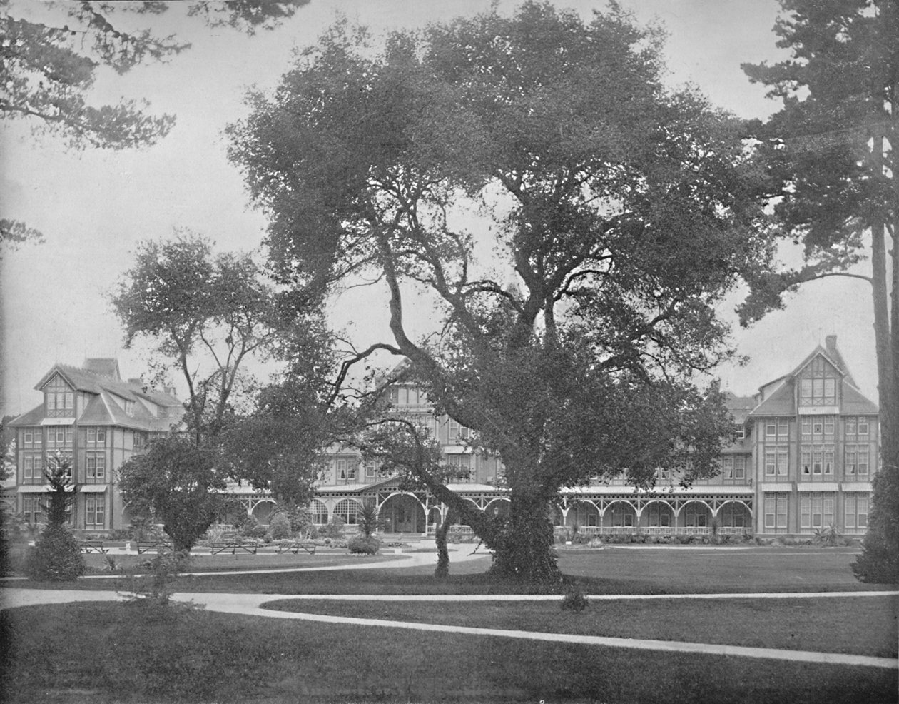 Del Monte, Monterey, Kalifornia, ok. 1897 r. autorstwa Unbekannt