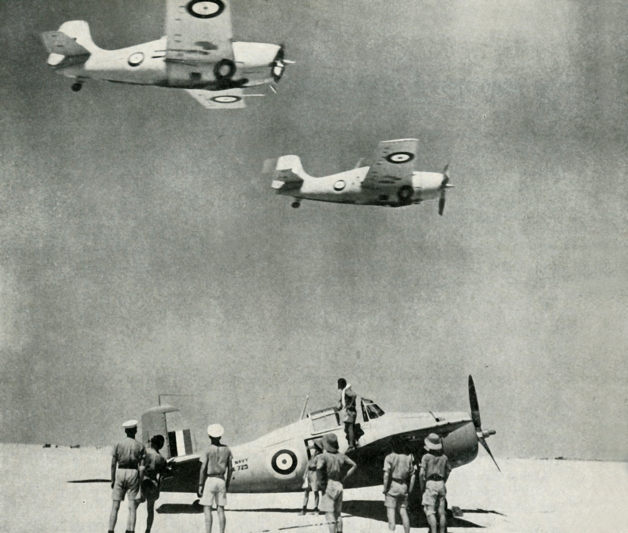 Desert Squadron - samoloty Fleet Air Arm podczas II wojny światowej, c1943. autorstwa Unbekannt