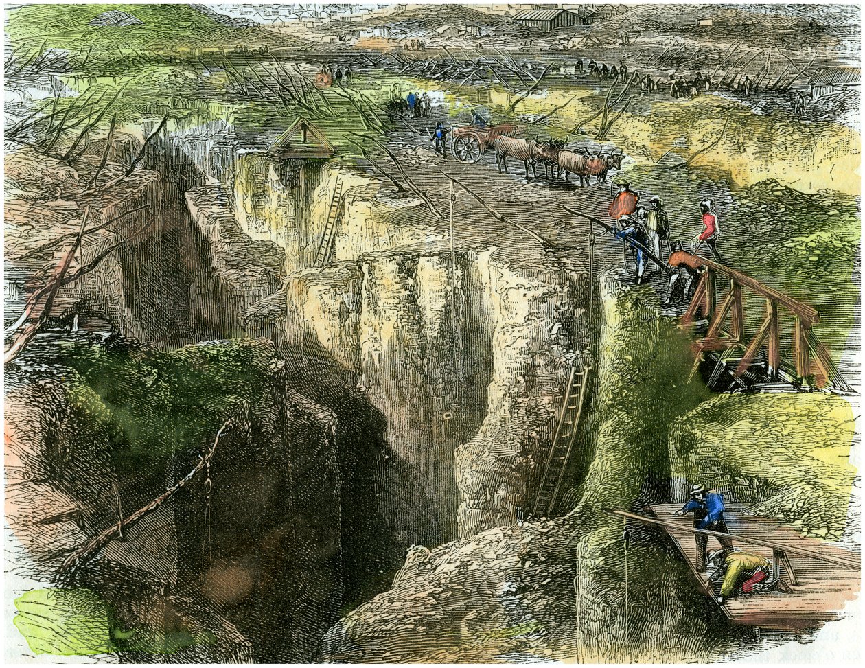 Diamentowe pole, ok. 1880 autorstwa Unbekannt