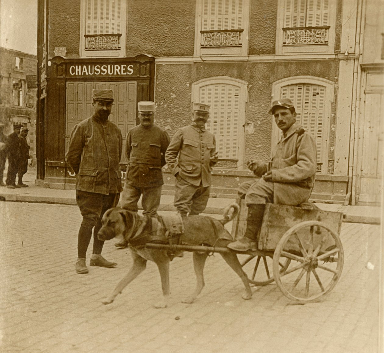 Wózek dla psów, Francja, c1914-c1918 autorstwa Unbekannt