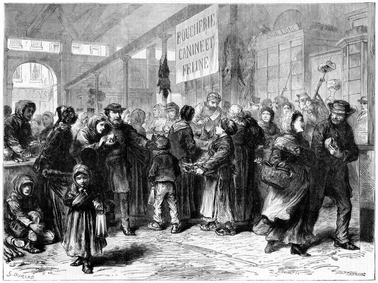 Rzeźnik mięsa psów i kotów w Paryżu, wojna francusko-pruska, 1871 autorstwa Unbekannt