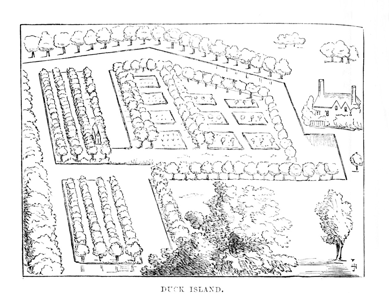 Wyspa Kaczki, c1870 autorstwa Unbekannt
