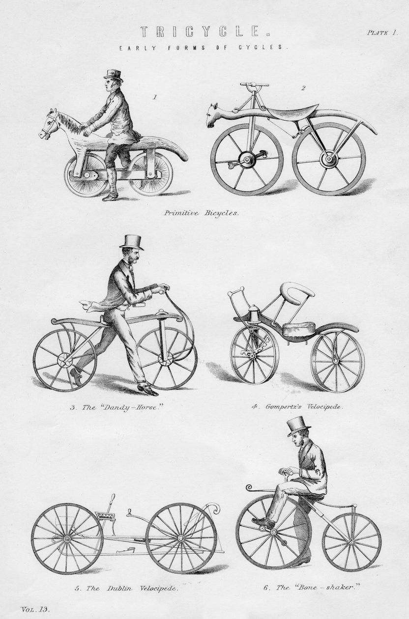 Wczesne formy cykli, XIX lub XX wiek autorstwa Unbekannt