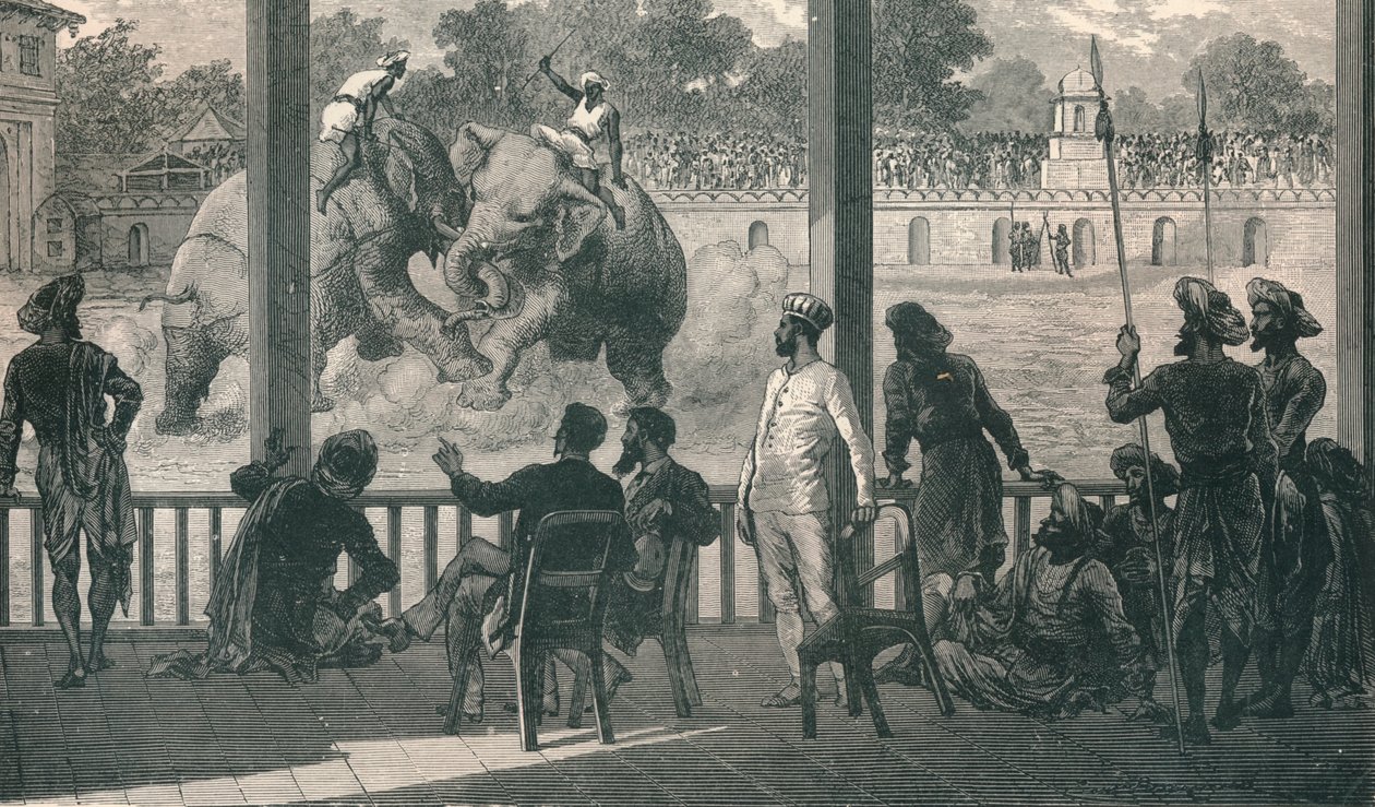 Walka słoni w Barodzie, 1896 autorstwa Unbekannt