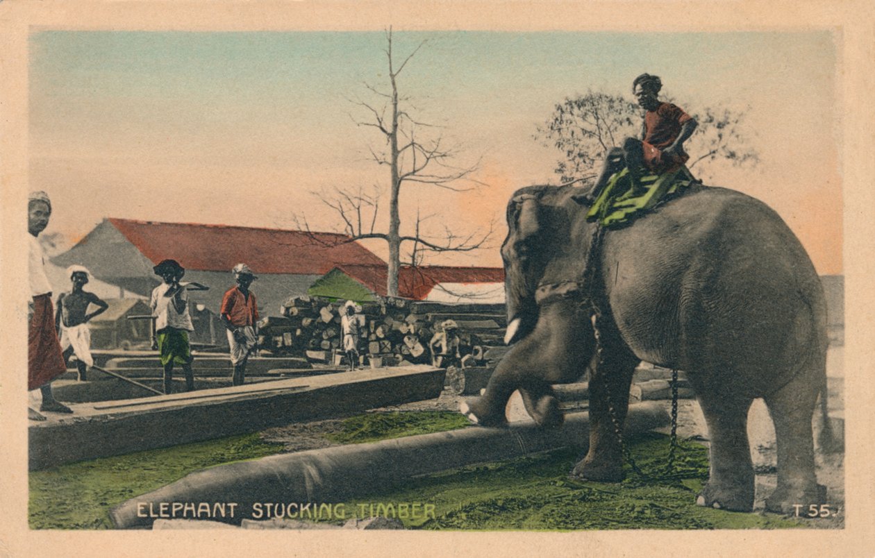 Drewno na słonie, ok. 1900 r. autorstwa Unbekannt