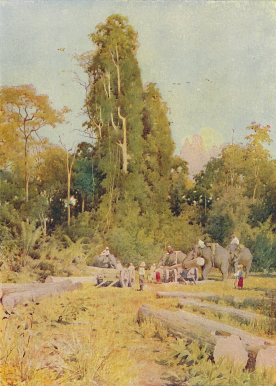 Teak palący słonie, 1924 autorstwa Unbekannt