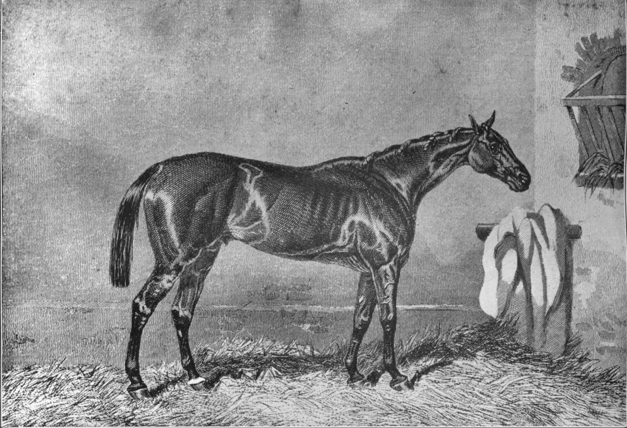 Ellington, 1853-1870, 1911 autorstwa Unbekannt