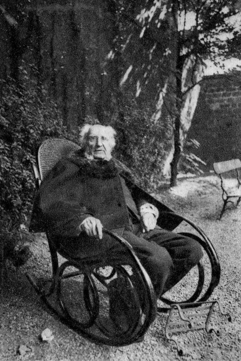 Emile Ollivier, francuski mąż stanu, 1895 autorstwa Unbekannt