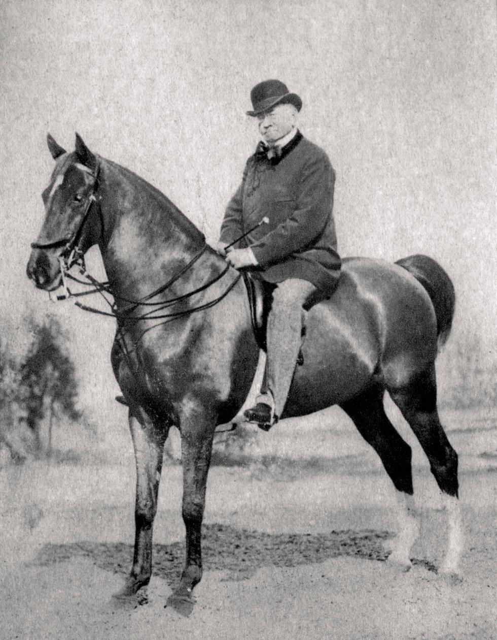 Emile de Girardin, francuski dziennikarz, publicysta i polityk, 1866 autorstwa Unbekannt