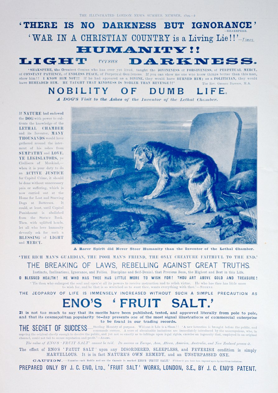 Reklama Enos Fruit Salt, 1899 autorstwa Unbekannt