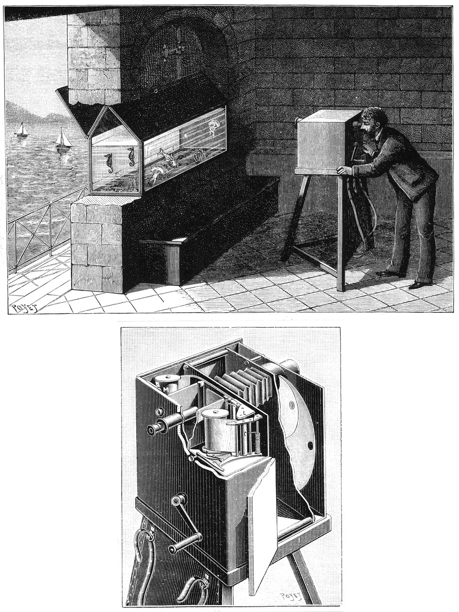 Etienne Jules Marey 1830-1903, z kamerą filmową, 1903 autorstwa Unbekannt