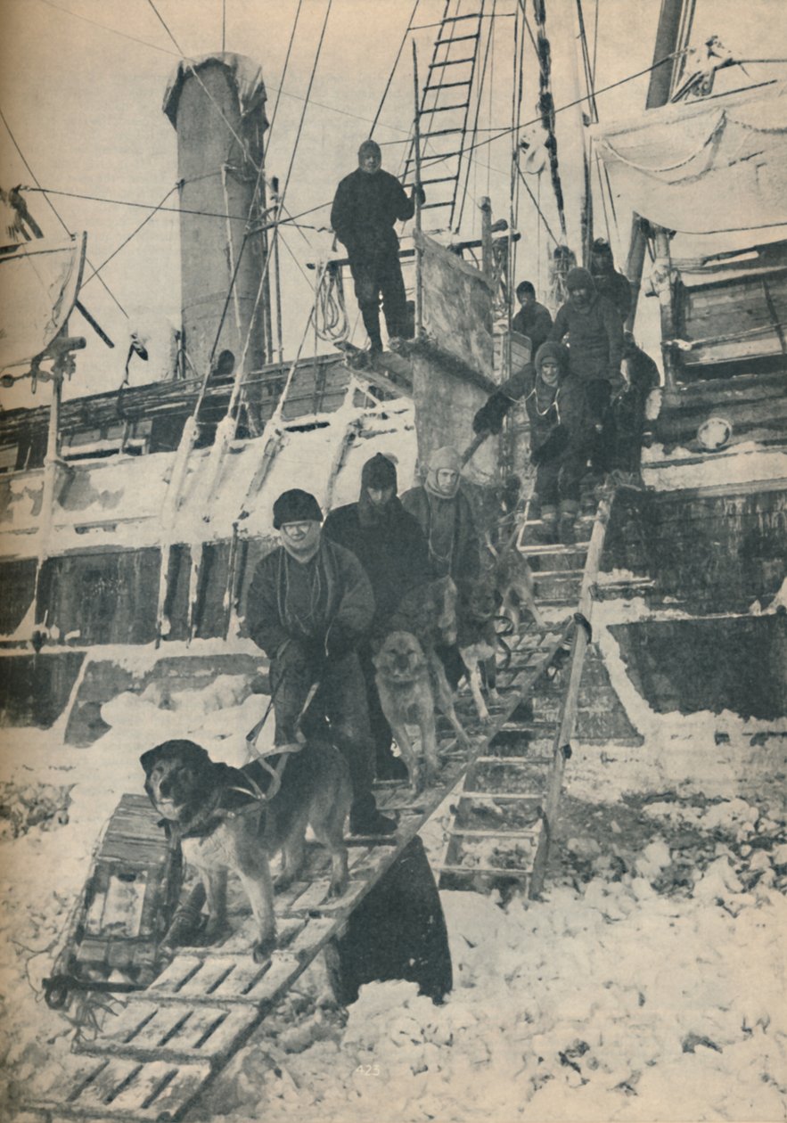 Ćwiczenie psów, 1936 autorstwa Unbekannt