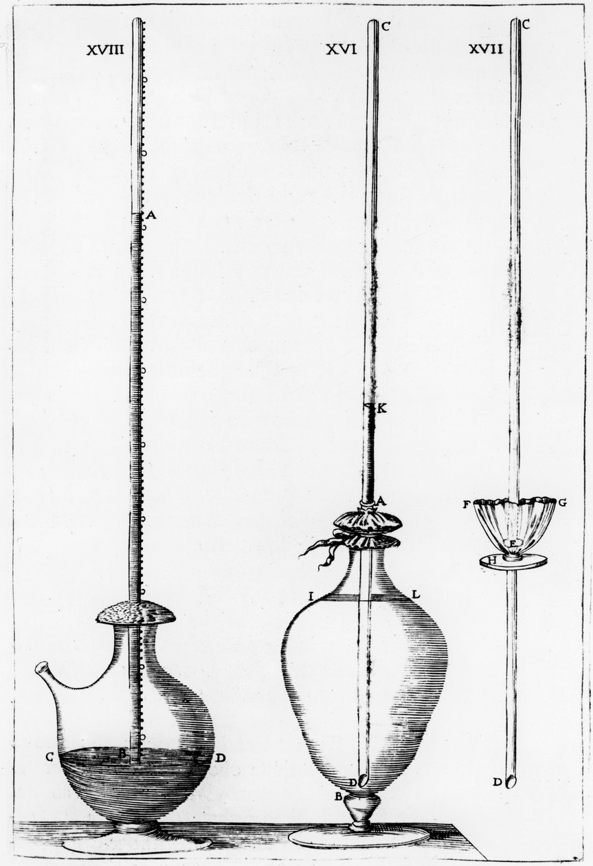 Eksperymentalne barometry używane przez Accademia dell Cimento, Florencja, Włochy, 1691 autorstwa Unbekannt