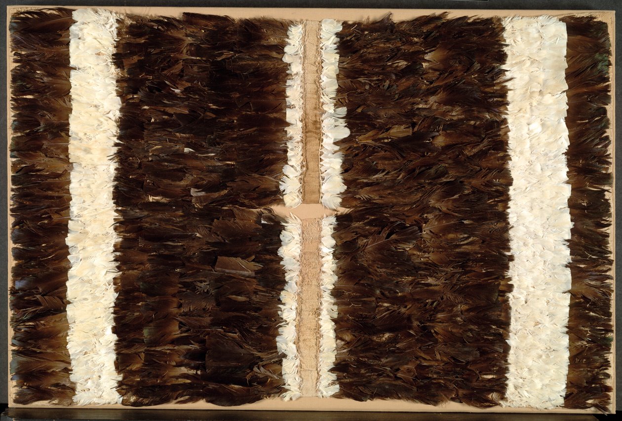 Pióra Tabard lub Tunika, 600-1500. autorstwa Unbekannt