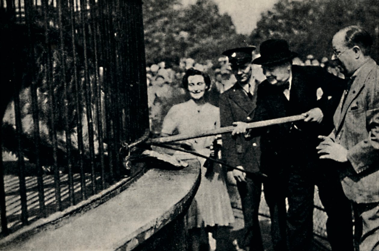Karmienie Rota, Lew Pinner, lata 40., 1945. autorstwa Unbekannt