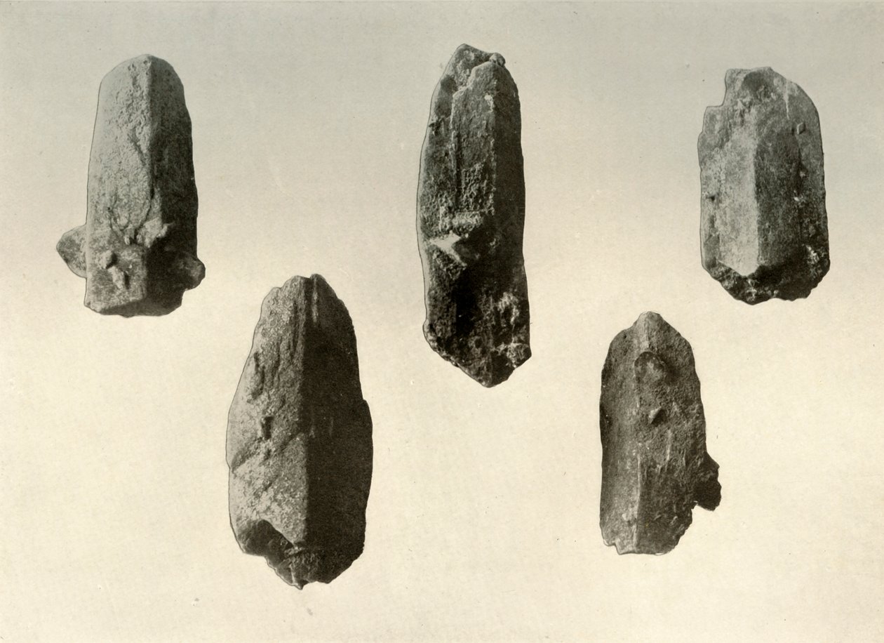 Kryształy skalenia ze szczytu góry Erebus naturalnej wielkości, 1909 autorstwa Unbekannt