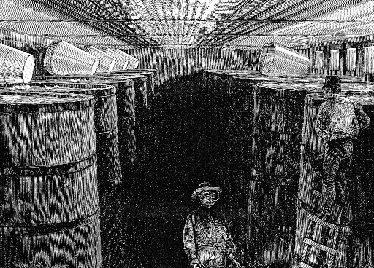 Piwnica fermentacyjna w amerykańskim browarze, 1885 autorstwa Unbekannt