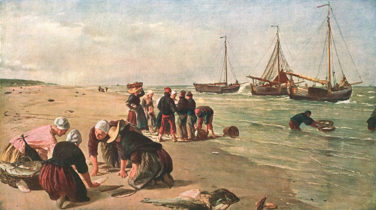 Ryba z Ławicy Dogger, Scheveningen, Holandia, 1870, c1902. autorstwa Unbekannt