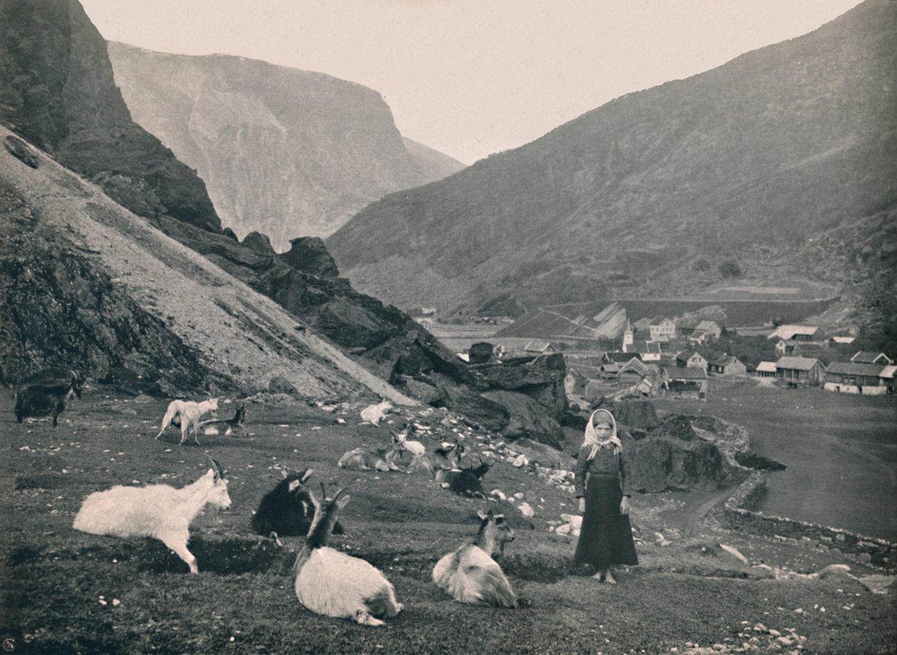 Flaam, 1914. autorstwa Unbekannt