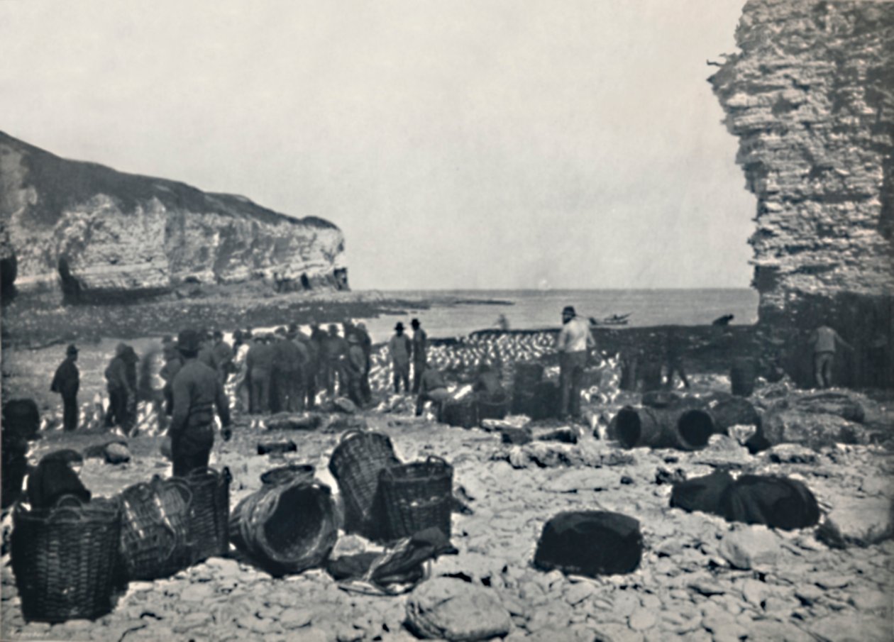 Flamborough - Rybacy przy pracy, 1895 autorstwa Unbekannt