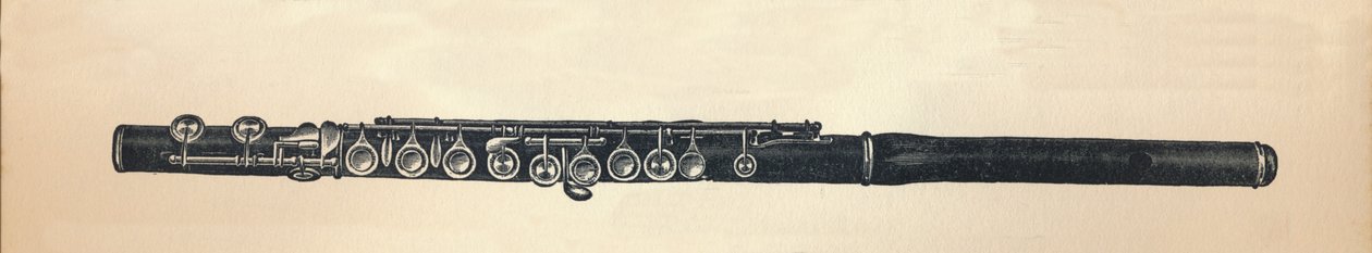 Flet, 1895. autorstwa Unbekannt