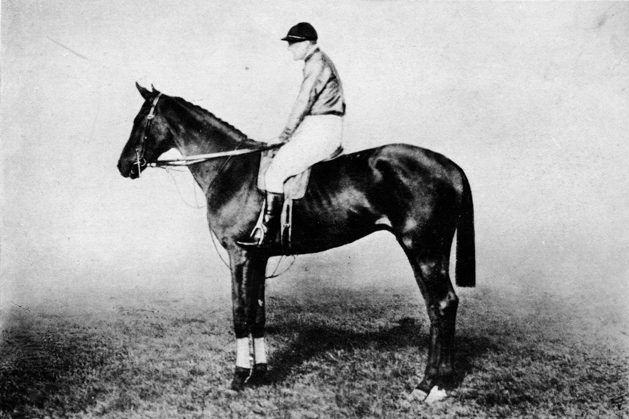 Latający lis, 1896-1911, 1911 autorstwa Unbekannt