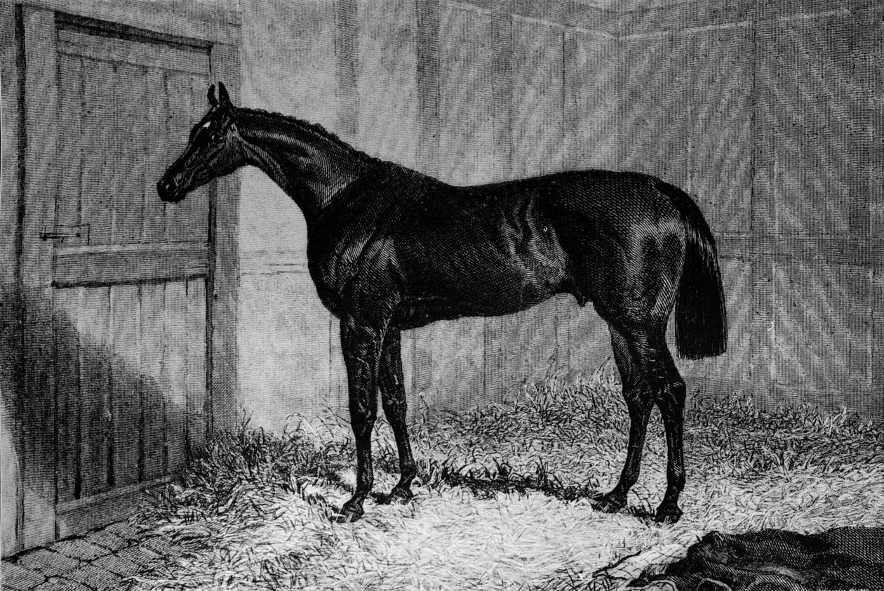 Foig-A-Ballagh, c1841-1860, 1911 autorstwa Unbekannt