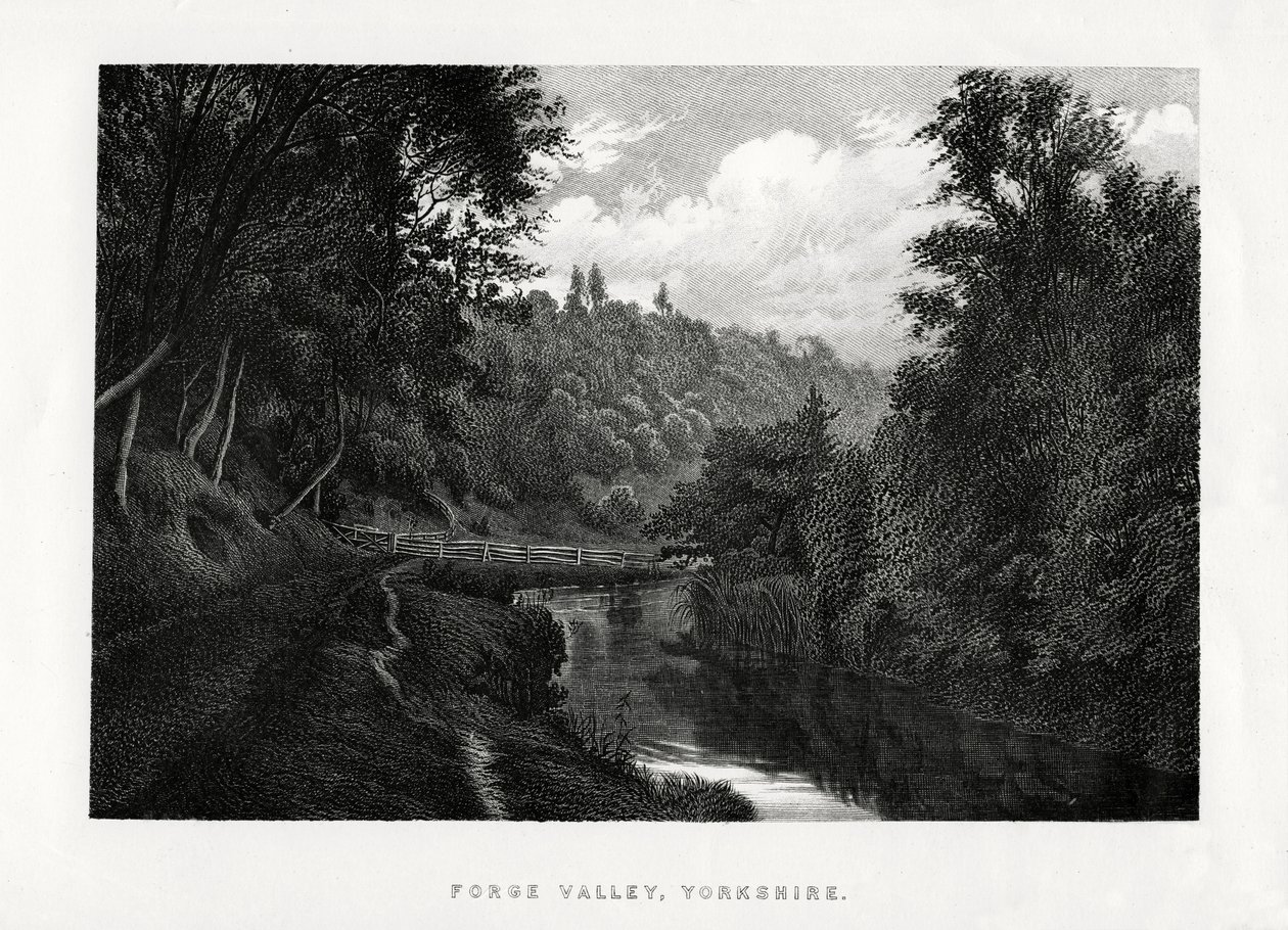 Forge Valley, Yorkshire, 1896 autorstwa Unbekannt