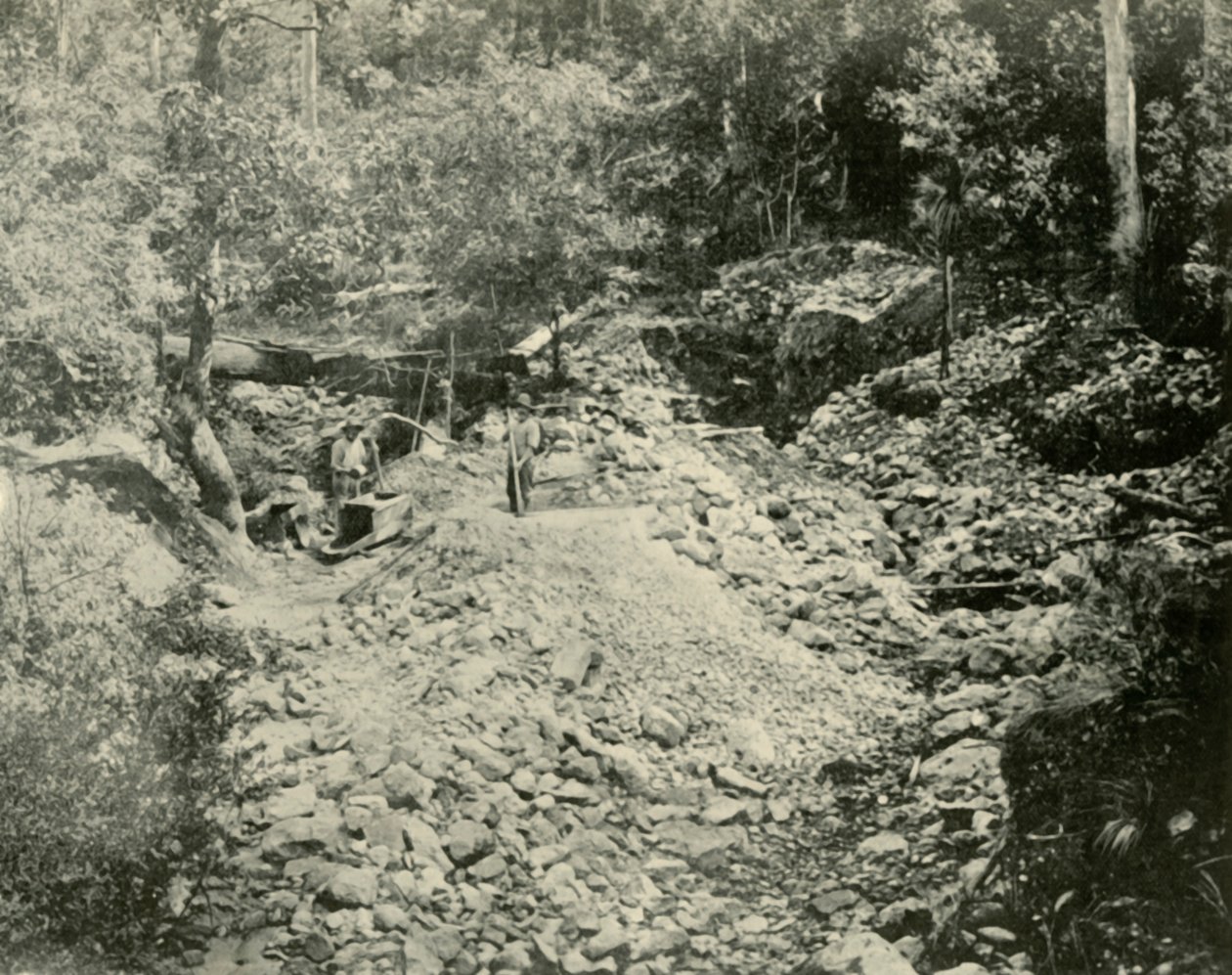 Fossickers w pracy, 1901. autorstwa Unbekannt