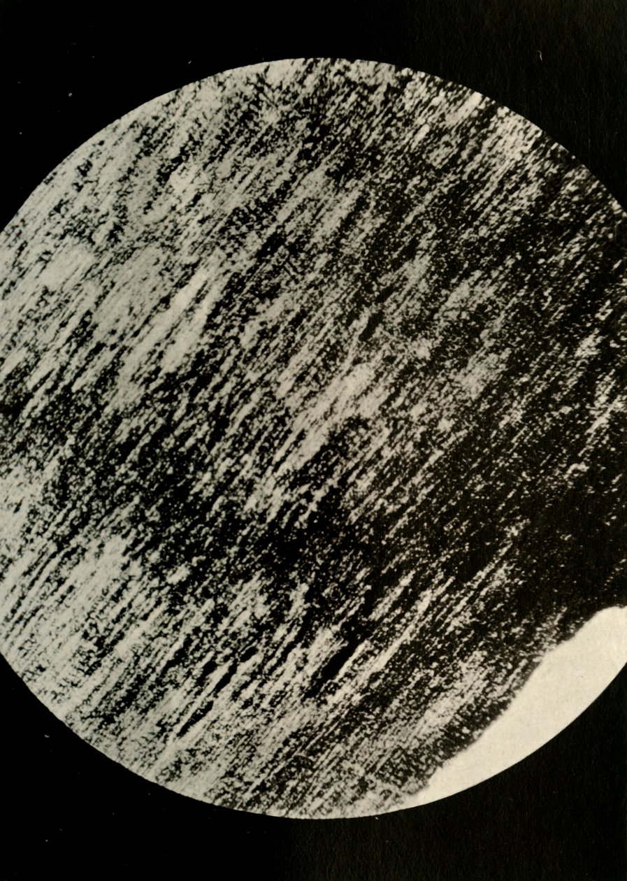 Fossil Wood w Sandstone, z moreny w 85° szerokości geograficznej południowej, c1908, 1909. autorstwa Unbekannt