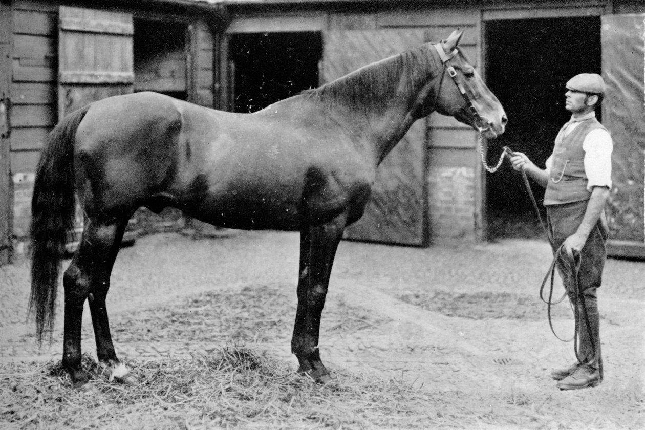 Foxhall, 1880-1904, 1911 autorstwa Unbekannt