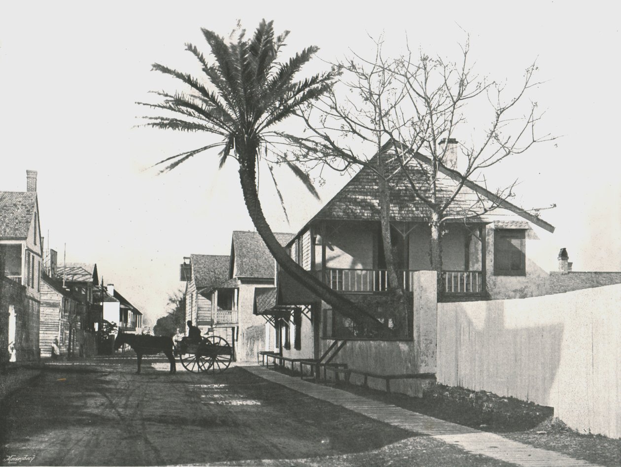 Francis Street, St Augustine, USA, 1895. autorstwa Unbekannt