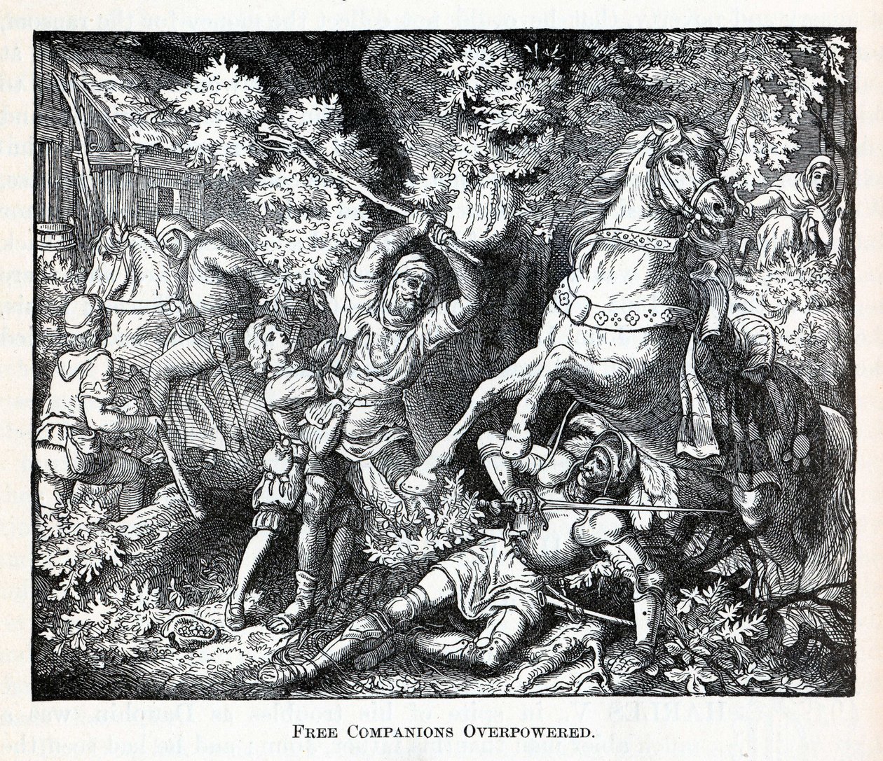 Wolni Towarzysze Obezwładnieni, 1882 autorstwa Unbekannt