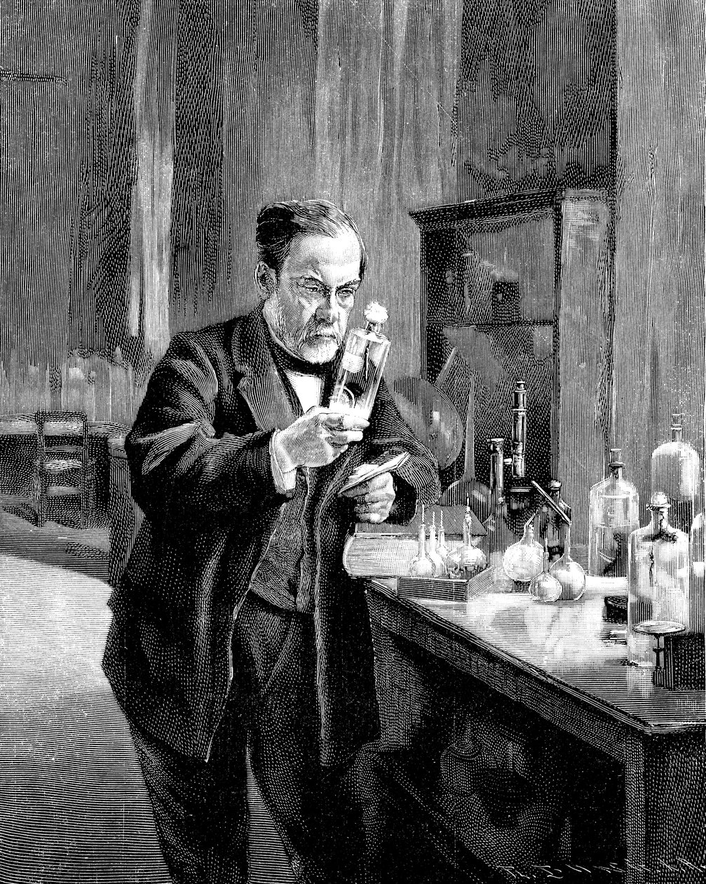 Francuski chemik i mikrobiolog Louis Pasteur 18221895 autorstwa Unbekannt