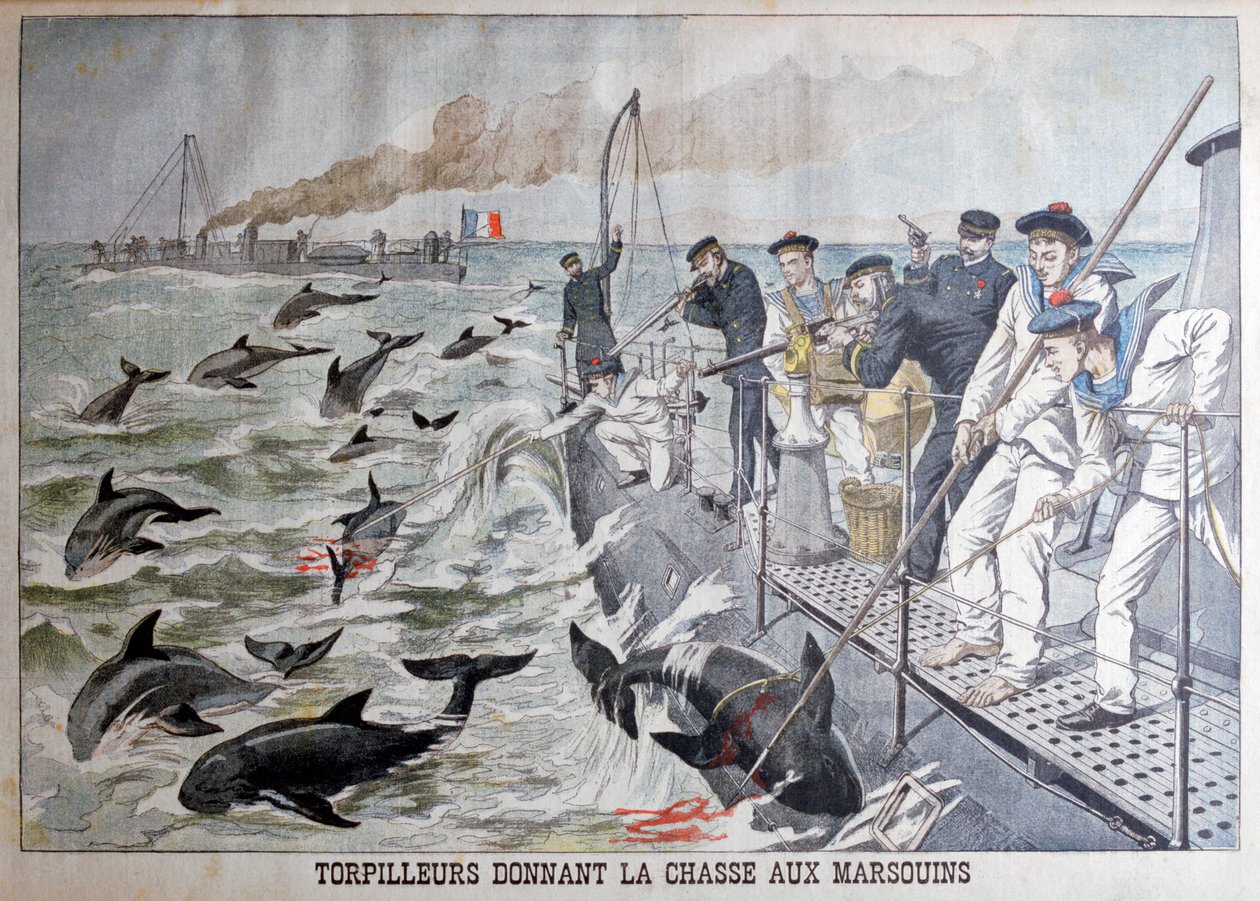 Francuskie torpedowce polujące na morświny, 1903 autorstwa Unbekannt