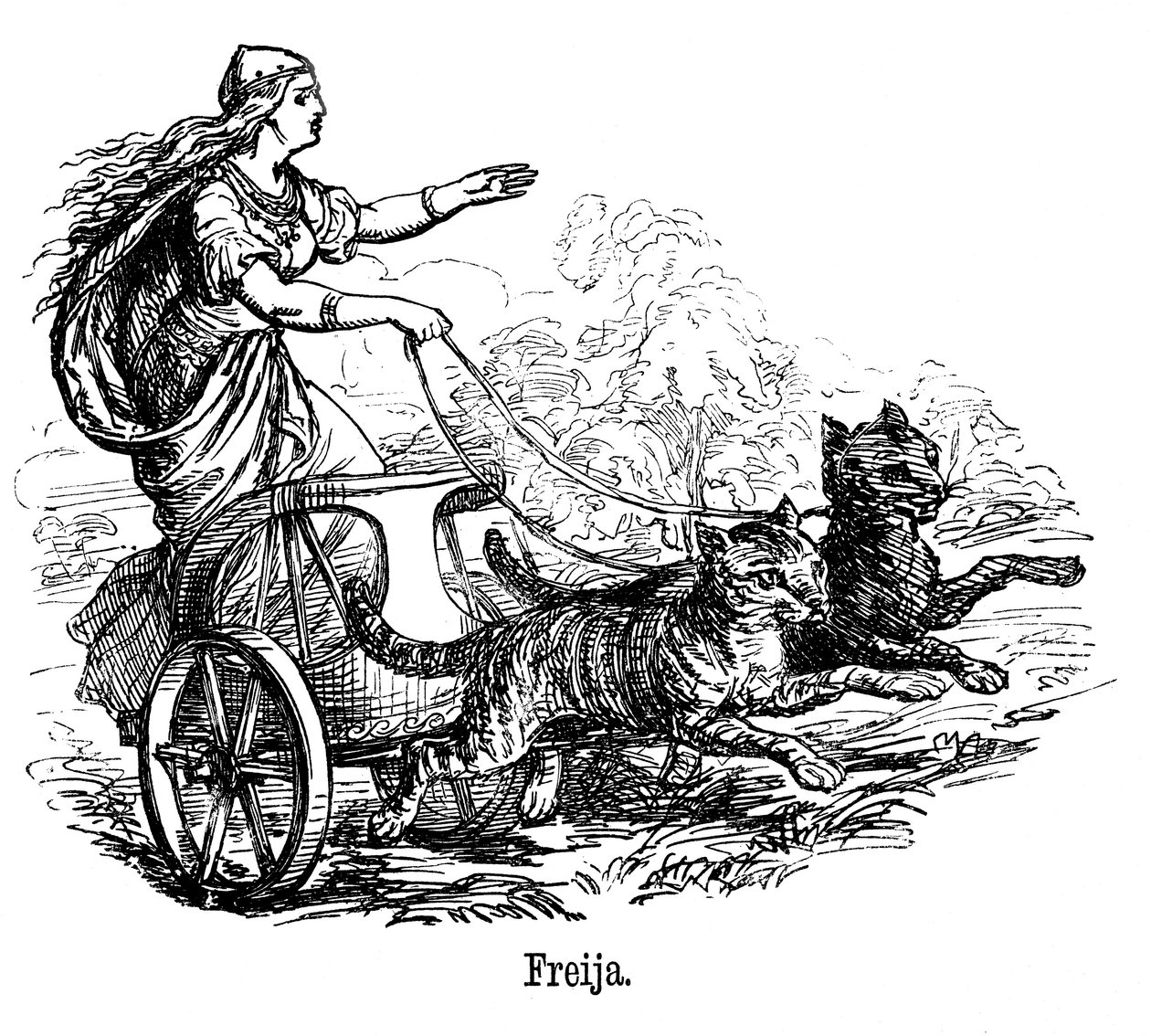 Freya Frigg bogini miłości w mitologii skandynawskiej, prowadząca swój rydwan ciągnięty przez koty autorstwa Unbekannt