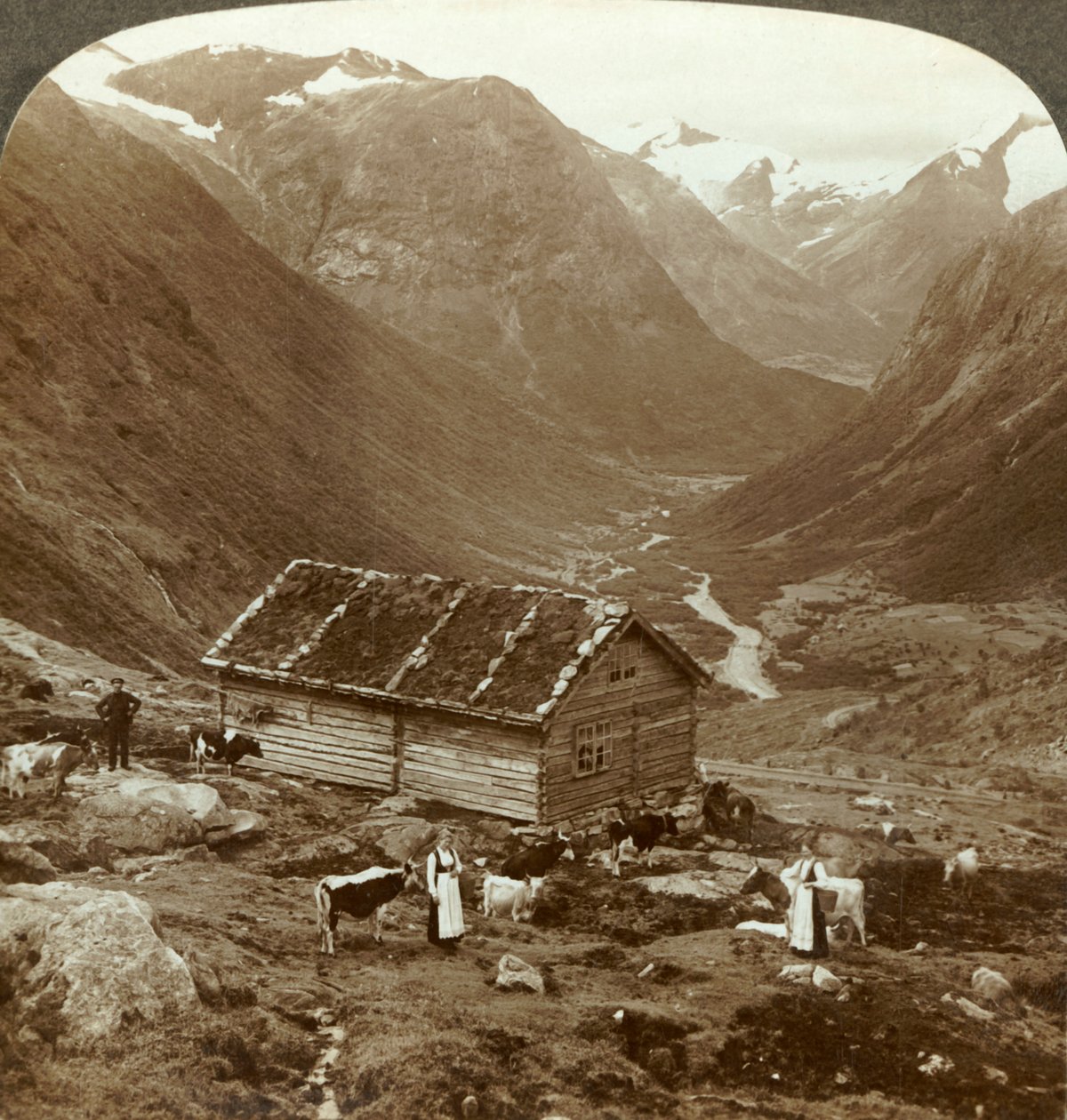 Z górskiej gospody w Vidde saeter w dół doliny Vidde - Skaala w prawej odległości, ok. 1905 r. autorstwa Unbekannt