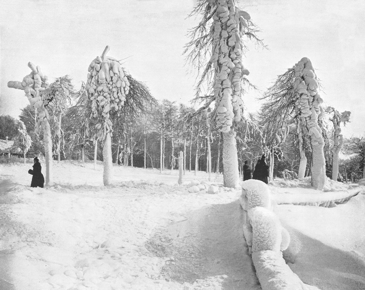 Frost Work w Prospect Park, Niagara, USA, ok. 1900. autorstwa Unbekannt