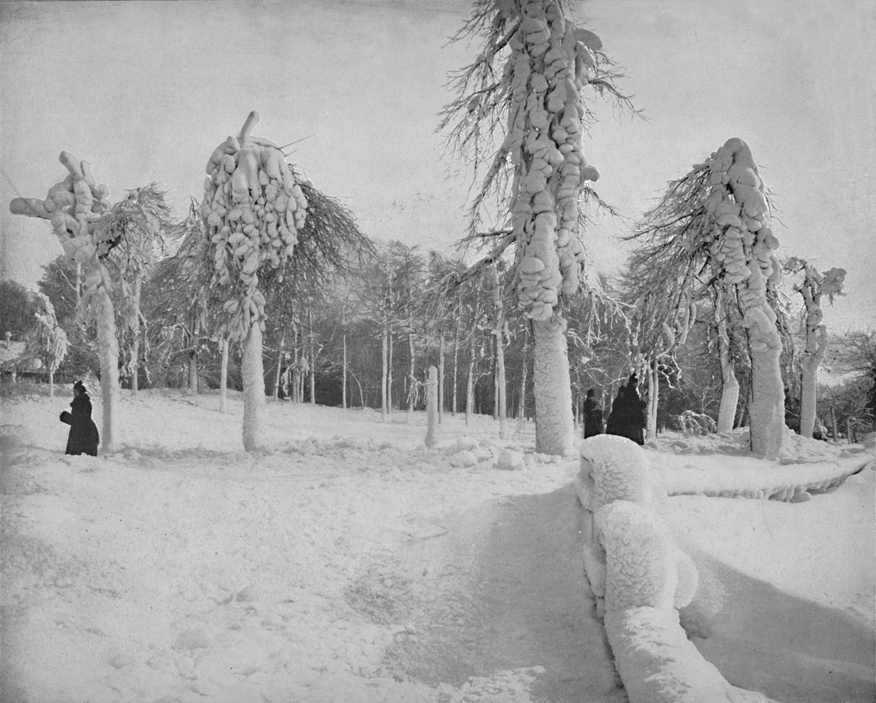Frost Work w Prospect Park, Niagara, c1897. autorstwa Unbekannt