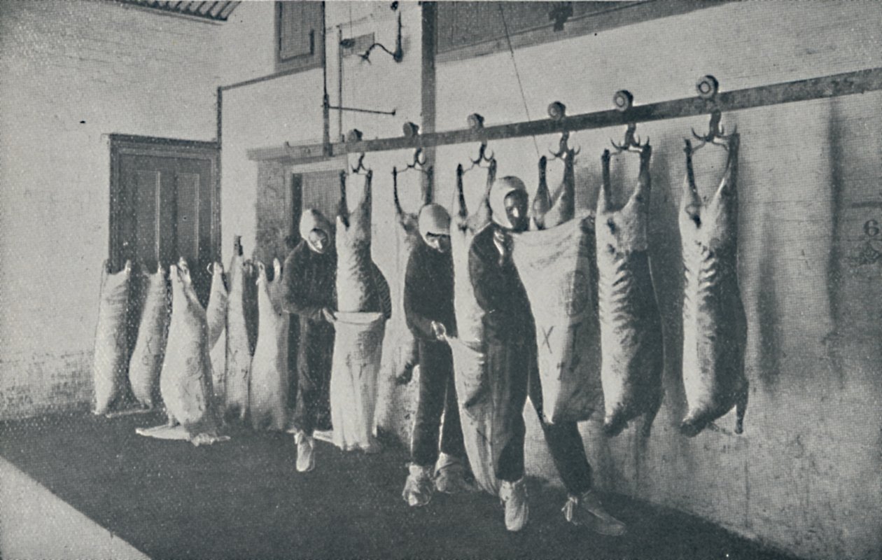 Mrożone Mięso, 1910 autorstwa Unbekannt