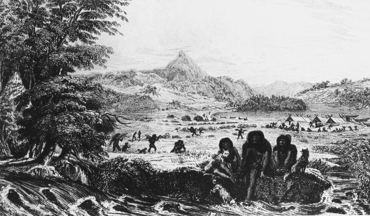 Fuegians w Woollya, z obozem ekspedycji Fitzroya w tle, 1831 1839 autorstwa Unbekannt
