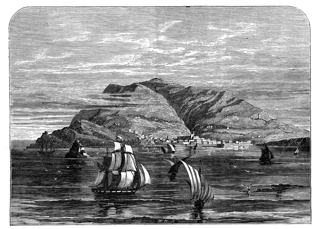 Funchal, Madera, ok. 1890 autorstwa Unbekannt