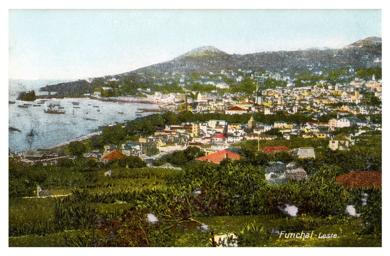 Funchal, Madera, początek XX wieku autorstwa Unbekannt