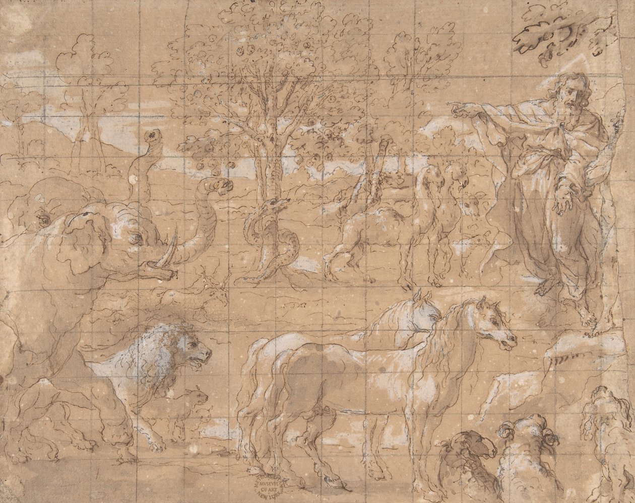 Garden of Eden, Stworzenie zwierząt, XVI wiek. autorstwa Unbekannt